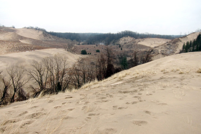 The drama of the dunes, © 2013 Celia Her City