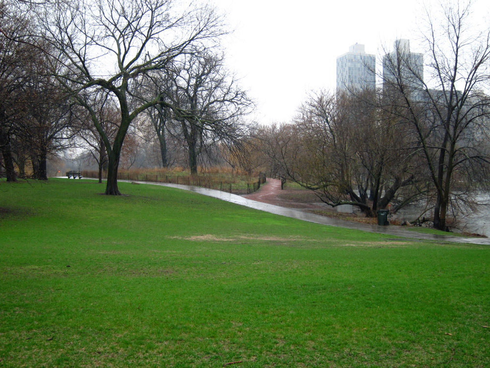 Chicago's North Pond during an April rain, © Celia Her City