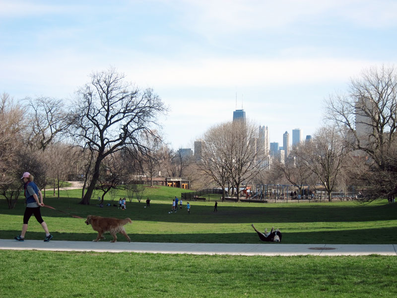 The park coming alive (Chicago's Lincoln Park), © 2013 Celia Her City