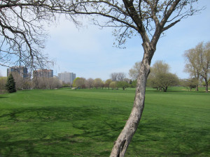 The nine-hole golf course off Chicago's Recreation Drive, © 2013 Celia Her City
