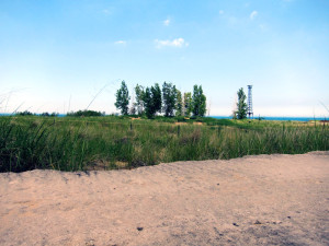 Dune west of the beach