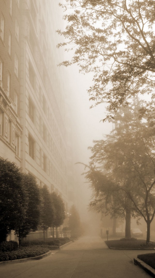 The fog, © 2013 Celia Her City