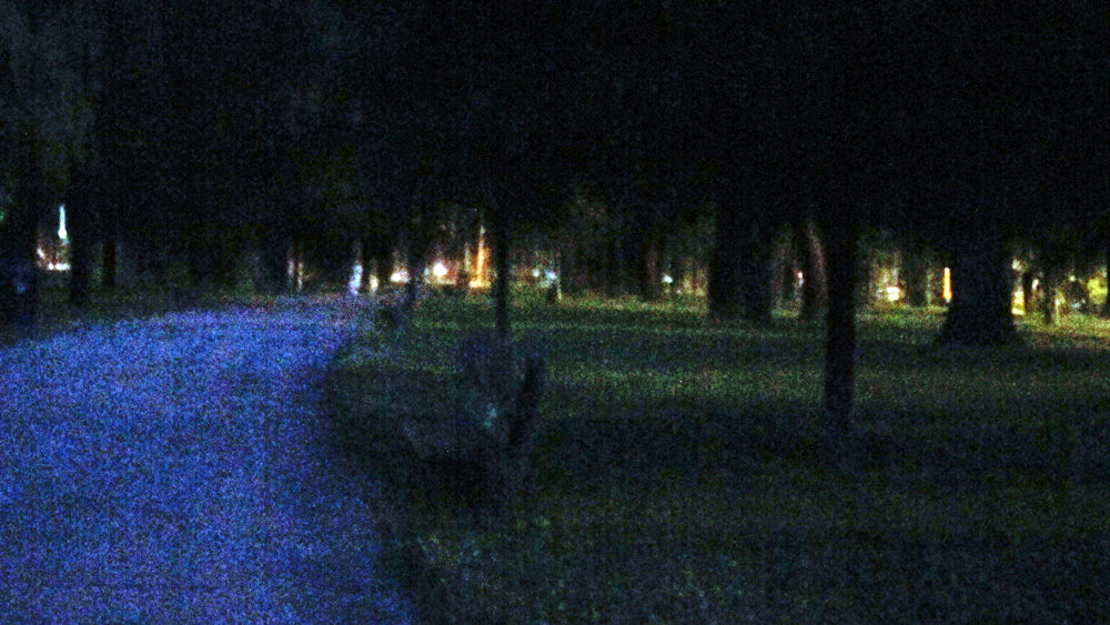 The nighttime park