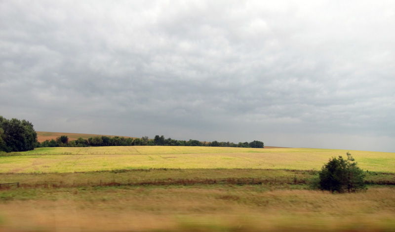 Chartreuse (Iowa bean field), © 2013 Celia Her City