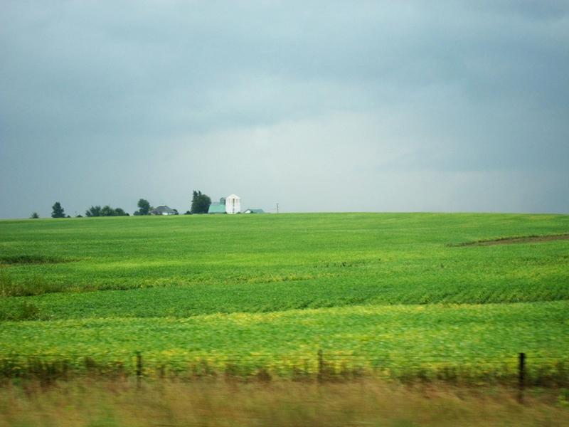 Sea green (Iowa), © 2013 Celia Her City