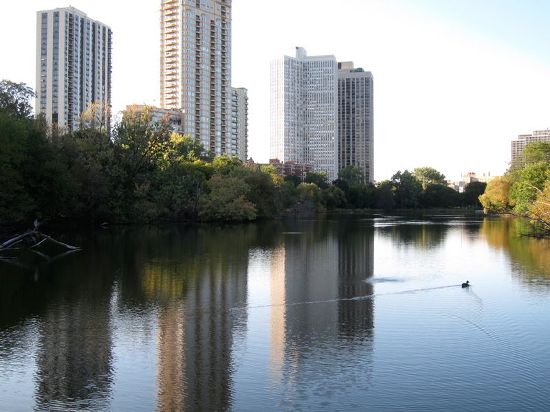 Serenity (Chicago's North Pond), © 2013 Celia Her City