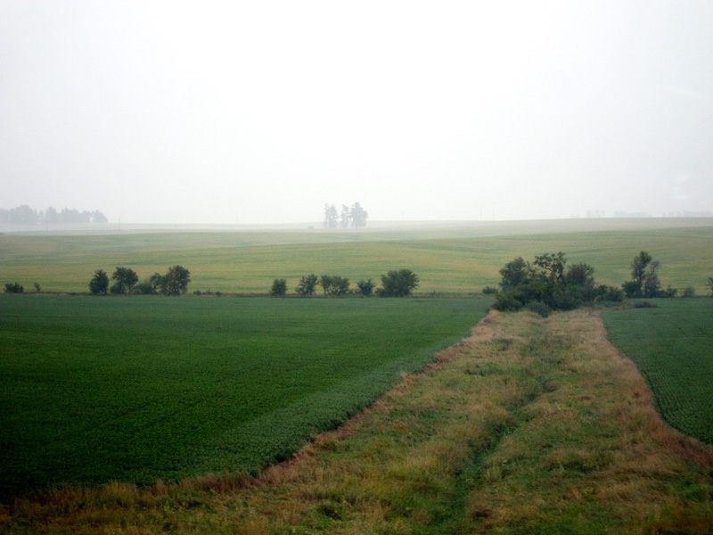 A swath of grass between fields.