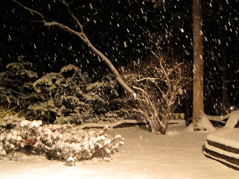 On New Year's Night It Snowed, © 2014 Celia Her City