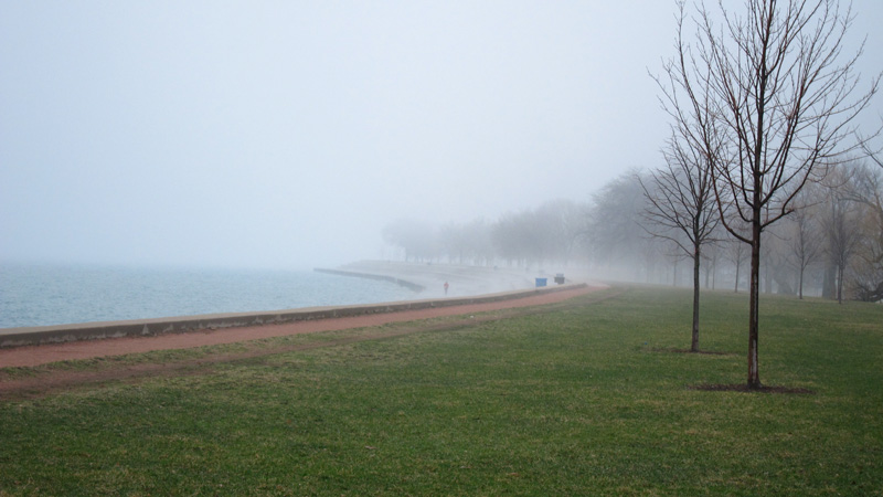 The scheme of things: trees by Lake Michigan on a foggy spring day