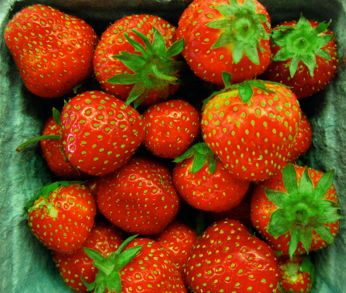 Strawberry season, © 2014 Celia Her City