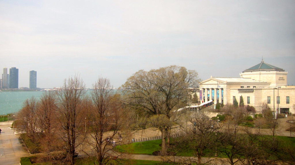 View of the Shedd Aquarium, lake shore, and city from the vantage of the Field Museum.