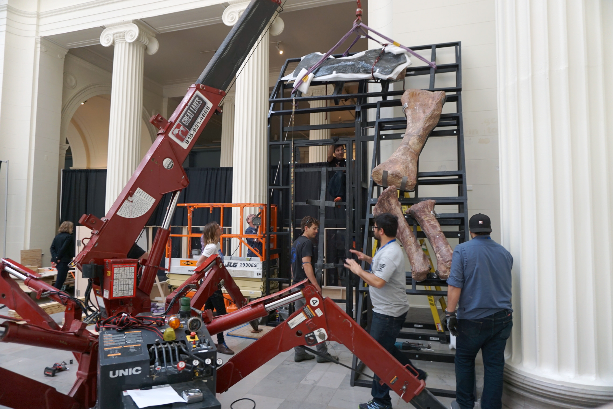 Workers moving parts of the titanosaur cast off a rack.