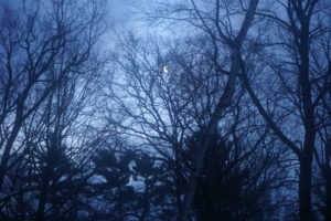 The crescent moon at 7:24 am.